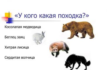 Буква Ц презентация к уроку по русскому языку (1 класс) на тему Тот ничего не изучает