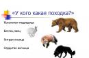 C raidės pristatymas rusų kalbos pamokai (1 kl.) tema Kad nieko nesimoko