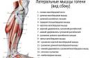 पैर की मांसपेशियों की संरचना और उनके क्षेत्र में रोग विकिरण निदान के कई प्रकार हैं
