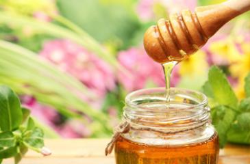 Traitement au miel L'utilisation du miel en médecine traditionnelle