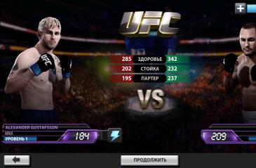 Ultimate Fighting Rules: UFC και Pride